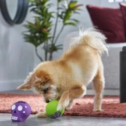 Frisco Halloween Sugar Skulls Latex Squeaky Dog Toy -Pet Dog Supplies Store 270518 PT3. AC SS1800 V1689878507