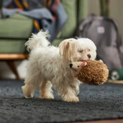 Frisco Camping Hedgehog Plush Squeaky Dog Toy -Pet Dog Supplies Store 270995 PT3. AC SS1800 V1625009251