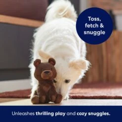 Frisco Camping Bear Plush Squeaky Dog Toy -Pet Dog Supplies Store 270999 PT5. AC SS1800 V1691785245