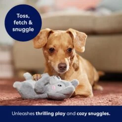 Frisco Camping Squirrel Plush Squeaky Dog Toy -Pet Dog Supplies Store 271001 PT5. AC SS1800 V1691785245