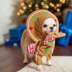 Frisco Front Walking Gingerbread Dog & Cat Costume -Pet Dog Supplies Store 276156 PT8. AC SS1800 V1631568795