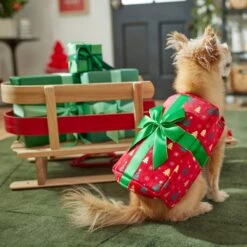 Frisco Holiday Giftbox Dog & Cat Costume -Pet Dog Supplies Store 276175 PT8. AC SS1800 V1631574832