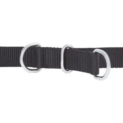 Frisco Basic No Pull Harness -Pet Dog Supplies Store 277873 PT2. AC SS1800 V1629760100