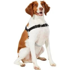 Frisco Basic No Pull Harness -Pet Dog Supplies Store 277873 PT3. AC SS1800 V1629766656