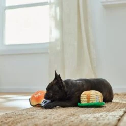 Frisco Fall Pancakes & Maple Syrup Plush Squeaky Dog Toy, 2 Count 5 Frisco Fall Pancakes & Maple Syrup Plush Squeaky Dog Toy, 2 Count -Pet Dog Supplies Store 285627 PT3. AC SS1800 V1629725170