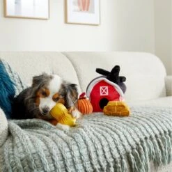 Frisco Fall Farmhouse Hide & Seek Puzzle Plush Squeaky Dog Toy 7 Frisco Fall Farmhouse Hide & Seek Puzzle Plush Squeaky Dog Toy -Pet Dog Supplies Store 285629 PT3. AC SS1800 V1629725107