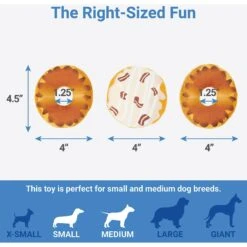 Frisco Fall Box Of Donuts Hide & Seek Puzzle Plush Squeaky Dog Toy -Pet Dog Supplies Store 285639 PT2. AC SS1800 V1636990890