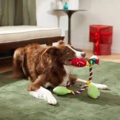 Frisco Holiday Lights Plush With Rope Squeaky Dog Toy -Pet Dog Supplies Store 287109 PT3. AC SS1800 V1632775707