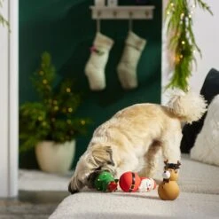 Frisco Holiday Santa & Friends Latex Squeaky Dog Toy -Pet Dog Supplies Store 287181 PT3. AC SS1800 V1632775363