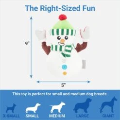 Frisco Holiday Naughty Or Nice Snowman Reversible Plush Squeaky Dog Toy 6 Frisco Holiday Naughty Or Nice Snowman Reversible Plush Squeaky Dog Toy -Pet Dog Supplies Store 287219 PT2. AC SS1800 V1637704003