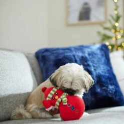 Frisco Holiday Naughty Or Nice Snowman Reversible Plush Squeaky Dog Toy 7 Frisco Holiday Naughty Or Nice Snowman Reversible Plush Squeaky Dog Toy -Pet Dog Supplies Store 287219 PT3. AC SS1800 V1632774615