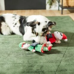 Frisco Holiday Bad Santa & Elf Plush Squeaky Dog Toy -Pet Dog Supplies Store 287223 PT3. AC SS1800 V1632773570