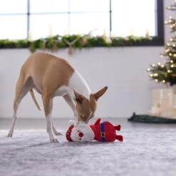 Frisco Holiday Santa & Snowman Reversible Plush Squeaky Dog Toy -Pet Dog Supplies Store 287263 PT3. AC SS1800 V1632775712