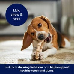 Frisco Ring Tough Nylon Chew Dog Toy, Chicken Flavor 10 Frisco Ring Tough Nylon Chew Dog Toy, Chicken Flavor -Pet Dog Supplies Store 290533 PT4. AC SS1800 V1695760990