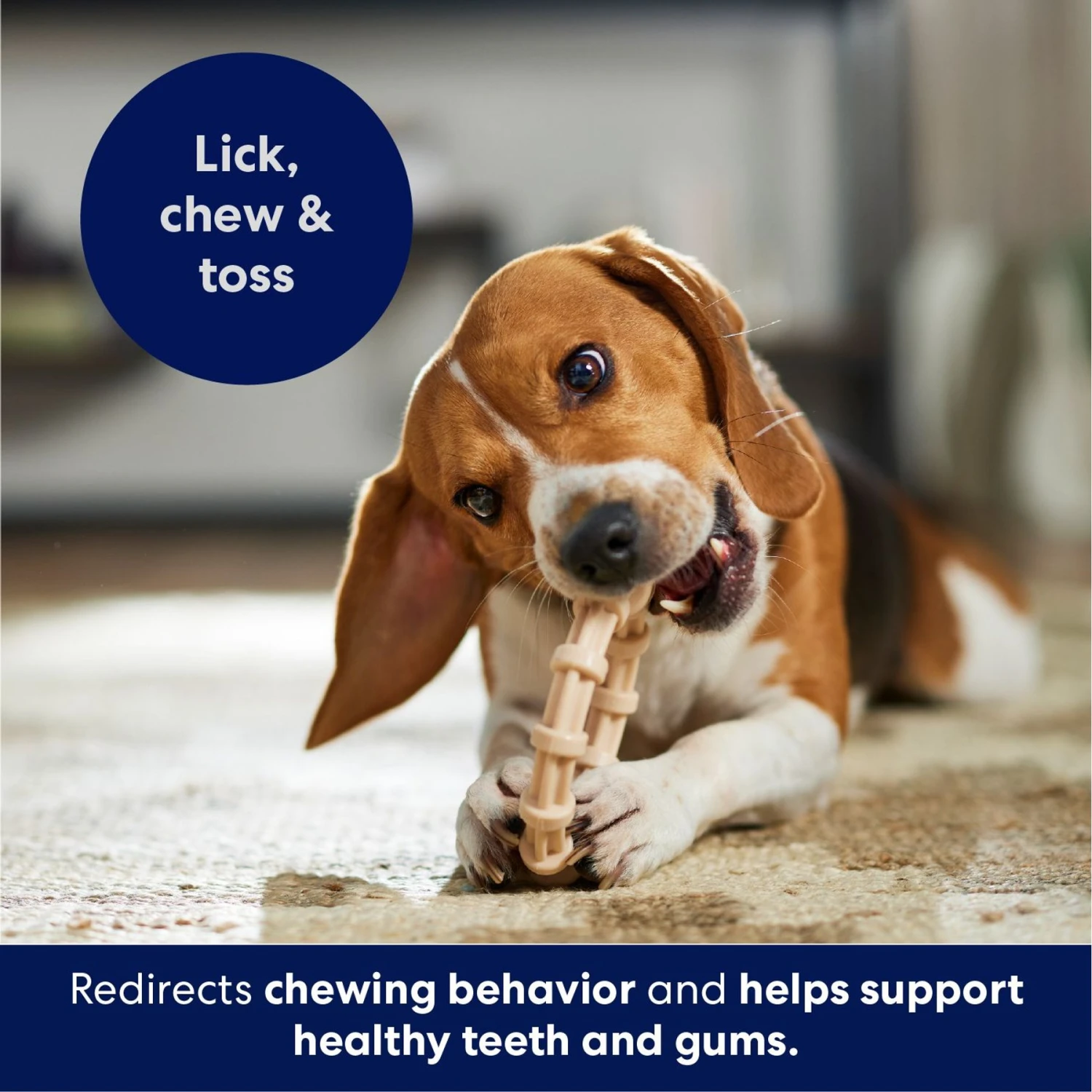 Frisco Ring Tough Nylon Chew Dog Toy, Chicken Flavor 5 Frisco Ring Tough Nylon Chew Dog Toy, Chicken Flavor - Image 5