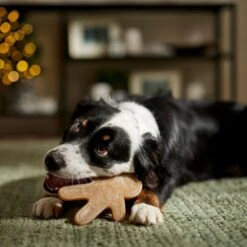 Frisco Nylon Gingerbread Dog Chew Toy, Beef Flavor, Medium -Pet Dog Supplies Store 291385 PT3. AC SS1800 V1668108316