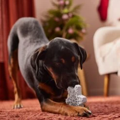 Frisco Holiday Nylon Snowflake Dog Chew Toy, Peanut Butter Flavor, Medium -Pet Dog Supplies Store 291387 PT3. AC SS1800 V1629306692