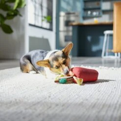 Frisco Brunch Bloody Mary Plush Squeaky Dog Toy 5 Frisco Brunch Bloody Mary Plush Squeaky Dog Toy -Pet Dog Supplies Store 297228 PT2. AC SS1800 V1642088343