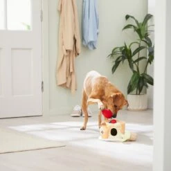 Frisco Brunch Pancake Hide & Seek Puzzle Plush Squeaky Dog Toy -Pet Dog Supplies Store 297266 PT3. AC SS1800 V1642087986