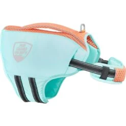 Frisco Active Dog Life Jacket & Frisco Foam Rubber Floating Fetch Ball No Squeak Dog Toy -Pet Dog Supplies Store 303364 PT2. AC SS1800 V1623163059
