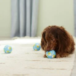 Frisco Easter Fetch Squeaky Tennis Ball Dog Toy, Medium, 3 Count 8 Frisco Easter Fetch Squeaky Tennis Ball Dog Toy, Medium, 3 Count -Pet Dog Supplies Store 304964 PT4. AC SS1800 V1703184745