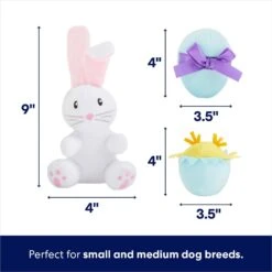 Frisco Easter Basket Hide & Seek Puzzle Plush Squeaky Dog Toy -Pet Dog Supplies Store 304982 PT2. AC SS1800 V1702665735