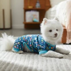 Frisco Celebration Dog & Cat PJs -Pet Dog Supplies Store 315105 PT8. AC SS1800 V1646437758