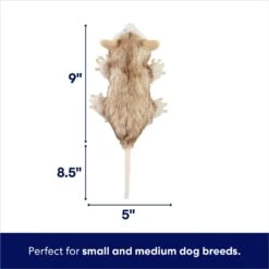 Frisco Realistic Opossum Plush Squeaky Dog Toy 7 Frisco Realistic Opossum Plush Squeaky Dog Toy -Pet Dog Supplies Store 316929 PT1. AC SS1800 V1695761017