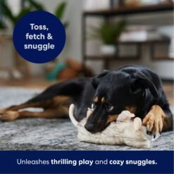 Frisco Realistic Opossum Plush Squeaky Dog Toy 10 Frisco Realistic Opossum Plush Squeaky Dog Toy -Pet Dog Supplies Store 316929 PT4. AC SS1800 V1695760990