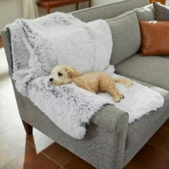 Frisco Sofa Pet Bed With Removable Cover & Frisco Eyelash Cat & Dog Blanket 17 Frisco Sofa Pet Bed With Removable Cover & Frisco Eyelash Cat & Dog Blanket -Pet Dog Supplies Store 319504 PT8. AC SS1800 V1630629098