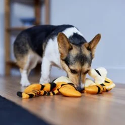 Disney Tigger Bungee Plush Squeaky Dog Toy -Pet Dog Supplies Store 328769 PT3. AC SS1800 V1657718551