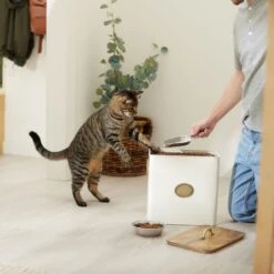 Frisco Premium Airtight Dog & Cat Food Storage Canister With Scoop -Pet Dog Supplies Store 331486 PT3. AC SS1800 V1657656891