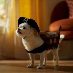 Frisco Pirate Ship Dog & Cat Costume -Pet Dog Supplies Store 335078 PT7. AC SS1800 V1657656881
