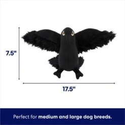 Frisco Halloween Crow Plush Squeaky Dog Toy -Pet Dog Supplies Store 344156 PT1. AC SS1800 V1689877960