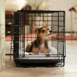 Frisco Adjustable Electrical Dog & Cat Heated Crate Mat With Timer 12 Frisco Adjustable Electrical Dog & Cat Heated Crate Mat With Timer -Pet Dog Supplies Store 358546 PT5. AC SS1800 V1662500981