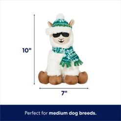 Pet Dog Supplies Store -Pet Dog Supplies Store 360924 PT1. AC SS1800 V1695046159