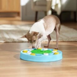 Frisco Seek & Discover Interactive Puzzle Dog Toy, Moderate -Pet Dog Supplies Store 506250 PT5. AC SS1800 V1674664929