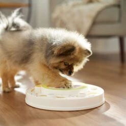 Frisco Tiered Cake Interactive Puzzle Dog Toy, Easy -Pet Dog Supplies Store 506346 PT5. AC SS1800 V1674666566