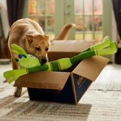 Frisco Halloween Alien Wagazoo Plush Squeaky Dog Toy, Extra Long 8 Frisco Halloween Alien Wagazoo Plush Squeaky Dog Toy, Extra Long -Pet Dog Supplies Store 668134 PT3. AC SS1800 V1689282428