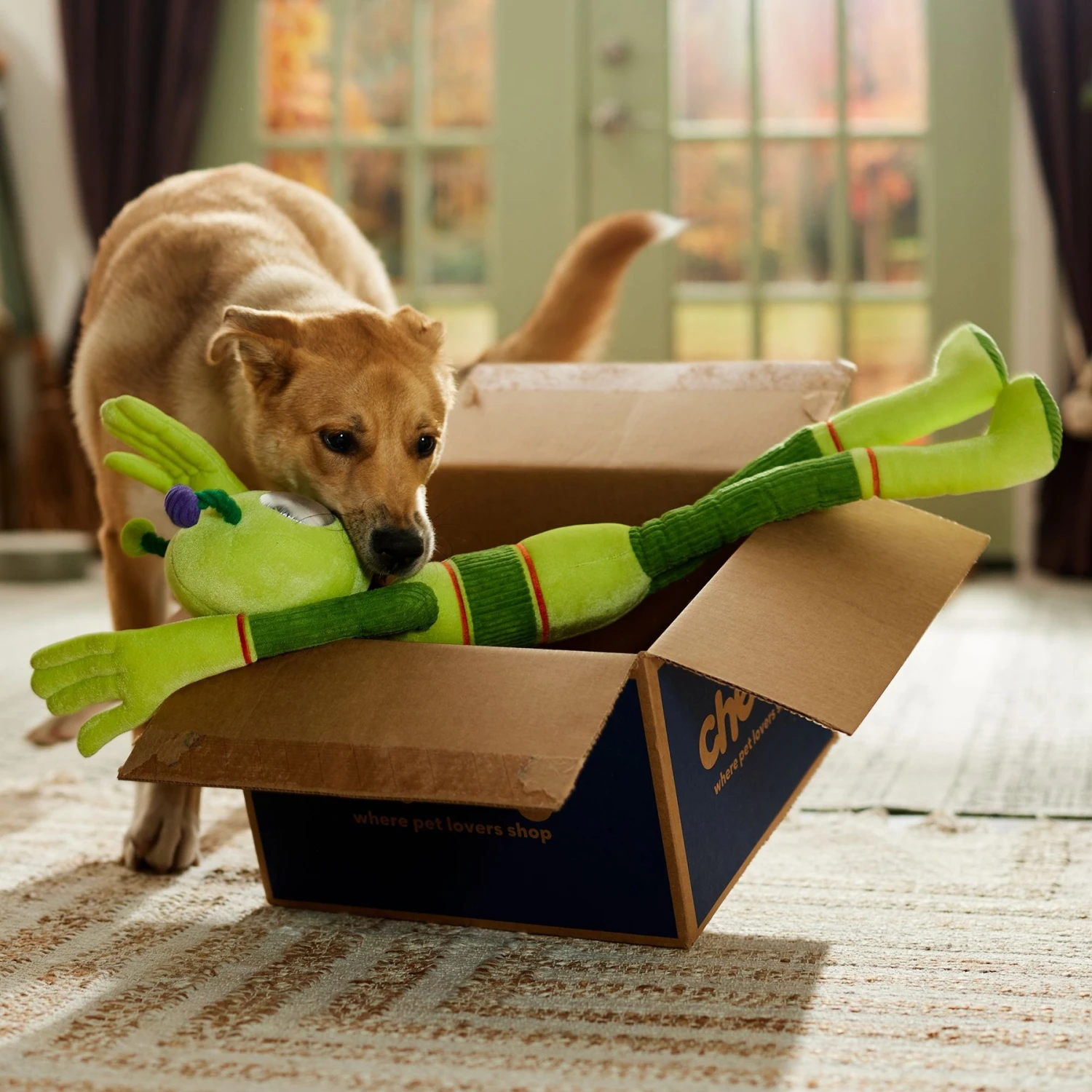 Frisco Halloween Alien Wagazoo Plush Squeaky Dog Toy, Extra Long 4 Frisco Halloween Alien Wagazoo Plush Squeaky Dog Toy, Extra Long - Image 4