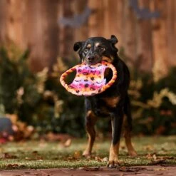 Frisco Halloween Ghost Swirl Fetch Flyer Dog Toy -Pet Dog Supplies Store 668294 PT3. AC SS1800 V1689278363