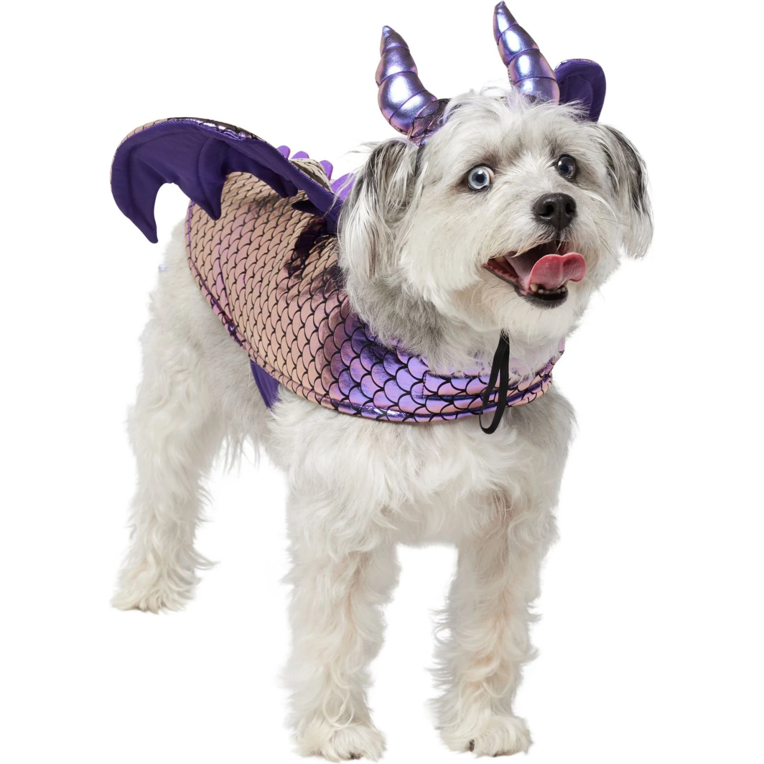 Frisco Dragon Dog & Cat Costume Accessory 1 Frisco Dragon Dog & Cat Costume Accessory