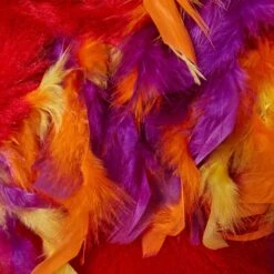 Frisco Flying Phoenix Dog & Cat Costume -Pet Dog Supplies Store 708150 PT6. AC SS1800 V1689351754