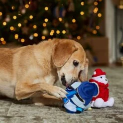 Frisco Holiday Arctic Buddies 2-in-1 Rip For Surprise Plush & Rubber Dog Toy -Pet Dog Supplies Store 739718 PT3. AC SS1800 V1694812848