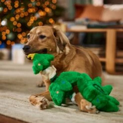 Frisco Holiday Elf In A Tree Bungee Plush Squeaky Dog Toy -Pet Dog Supplies Store 739846 PT3. AC SS1800 V1695047600