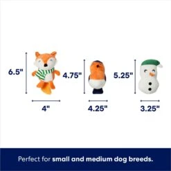 Frisco Holiday Melting Snow Globe Hide & Seek Puzzle Plush Squeaky Dog Toy -Pet Dog Supplies Store 739910 PT2. AC SS1800 V1694814063
