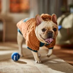 Frisco Wubby Textured Fleece Dog & Cat Hoodie W/ Pocket -Pet Dog Supplies Store 742510 PT7. AC SS1800 V1692377765