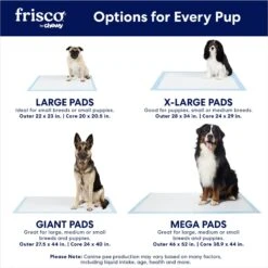 Frisco Mega Non-Skid Ultra Premium Dog Training & Potty Pads 10 Frisco Mega Non-Skid Ultra Premium Dog Training & Potty Pads -Pet Dog Supplies Store 793822 PT3. AC SS1800 V1683033861