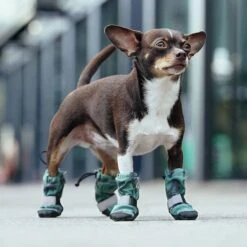 Canada Pooch Soft Shield Dog Boots -Pet Dog Supplies Store 803006 PT4. AC SS1800 V1682088022