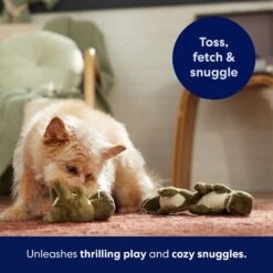 Frisco Volcano Hide & Seek Puzzle Plush Squeaky Dog Toy Refills, 3 Count & Frisco Volcano Hide & Seek Puzzle Plush Squeaky Dog Toy -Pet Dog Supplies Store 962078 PT4. AC SS1800 V1694782978